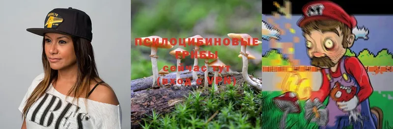 Псилоцибиновые грибы Magic Shrooms  купить наркотик  Волосово 